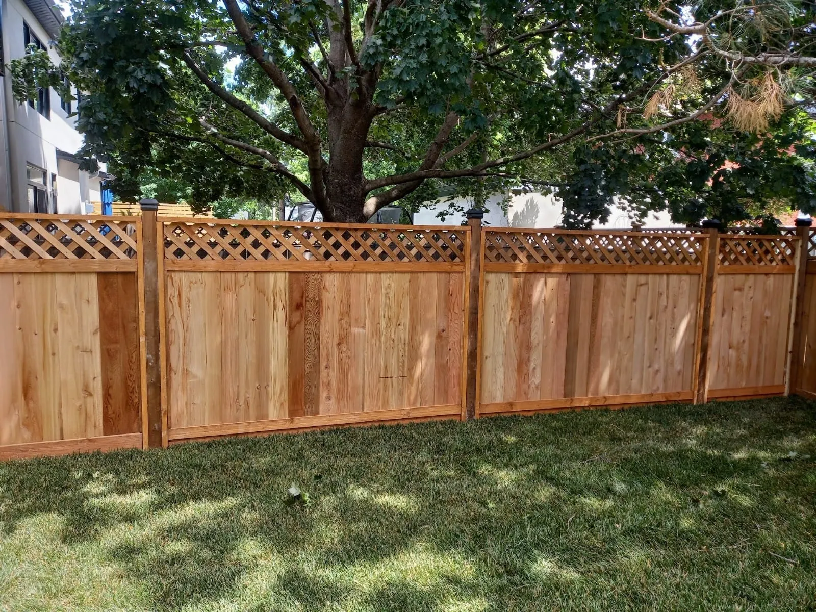 Wood Fence